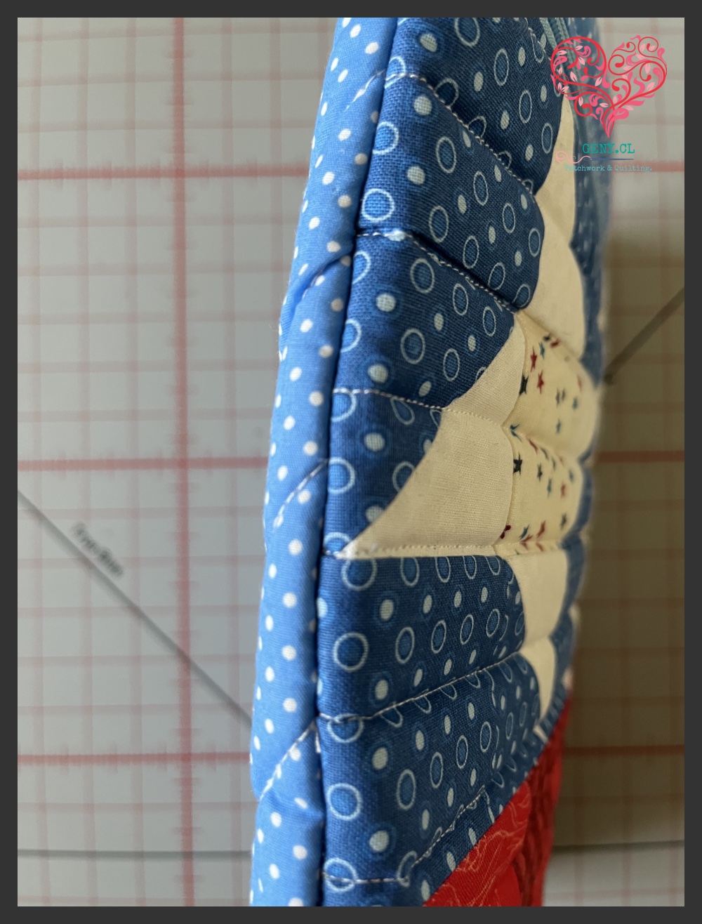 Detalle Bolso de Proyectos