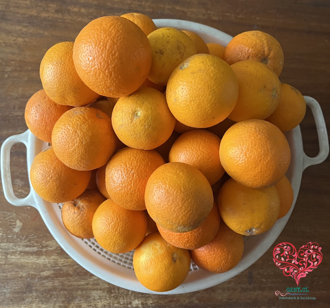 Naranjas de cosecha propia recién recolectadas para preparar mermelada de naranja casera.